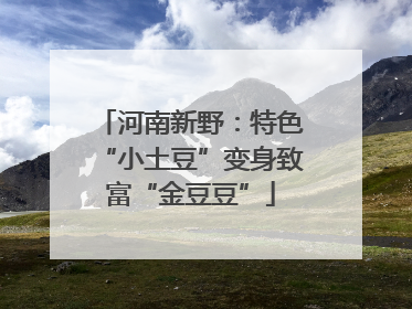 河南新野：特色“小土豆”变身致富“金豆豆”