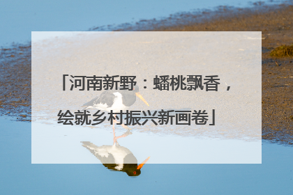 河南新野：蟠桃飘香，绘就乡村振兴新画卷