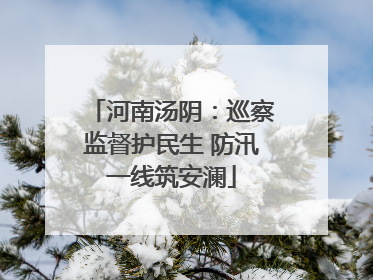 河南汤阴：巡察监督护民生 防汛一线筑安澜