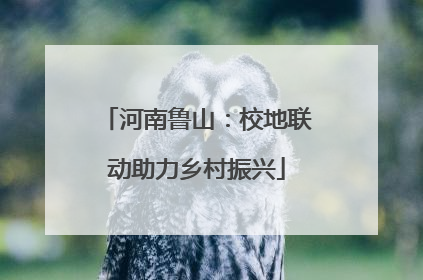 河南鲁山：校地联动助力乡村振兴