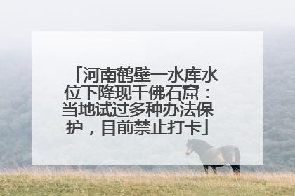 河南鹤壁一水库水位下降现千佛石窟：当地试过多种办法保护，目前禁止打卡