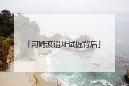 河姆渡遗址试掘背后