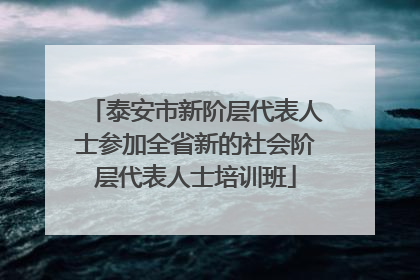 泰安市新阶层代表人士参加全省新的社会阶层代表人士培训班