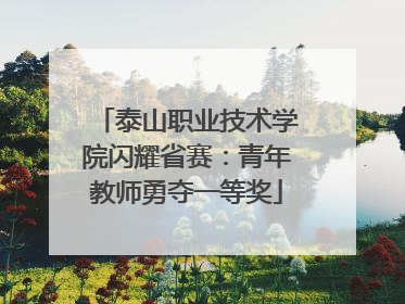 泰山职业技术学院闪耀省赛：青年教师勇夺一等奖