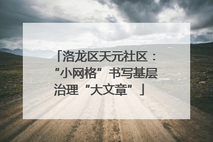 洛龙区天元社区：“小网格”书写基层治理“大文章”