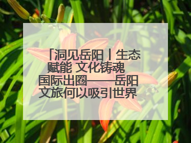 洞见岳阳丨生态赋能 文化铸魂 国际出圈——岳阳文旅何以吸引世界目光？