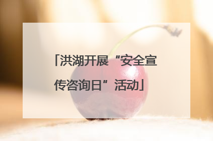 洪湖开展“安全宣传咨询日”活动