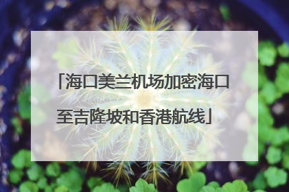 海口美兰机场加密海口至吉隆坡和香港航线