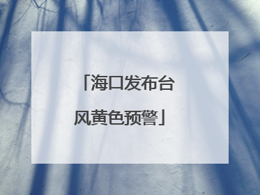海口发布台风黄色预警