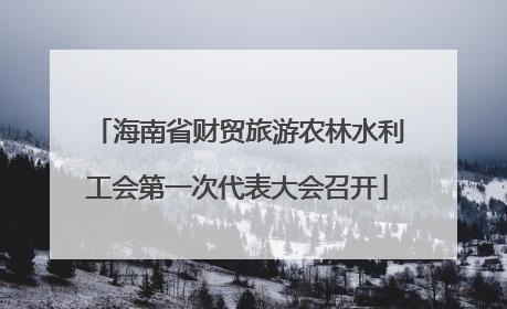 海南省财贸旅游农林水利工会第一次代表大会召开