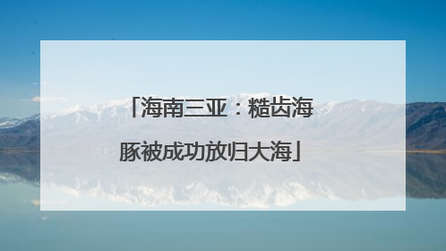 海南三亚：糙齿海豚被成功放归大海
