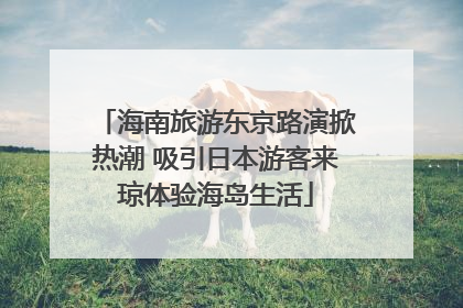 海南旅游东京路演掀热潮 吸引日本游客来琼体验海岛生活