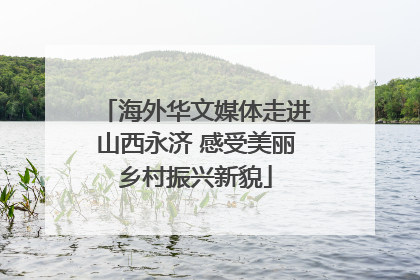 海外华文媒体走进山西永济 感受美丽乡村振兴新貌