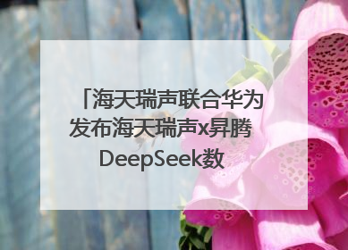 海天瑞声联合华为发布海天瑞声x昇腾DeepSeek数据飞轮智能体