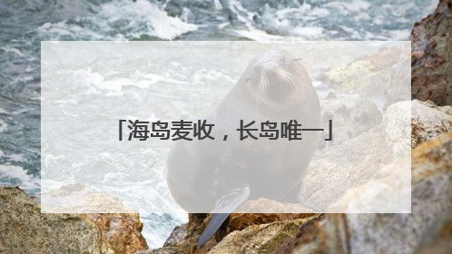 海岛麦收，长岛唯一