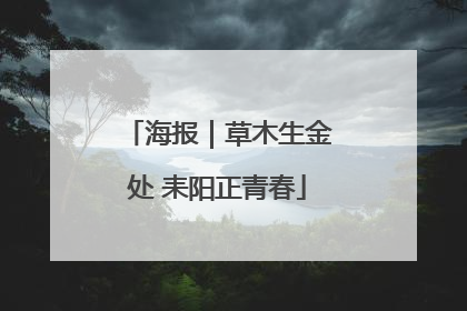 海报｜草木生金处 耒阳正青春