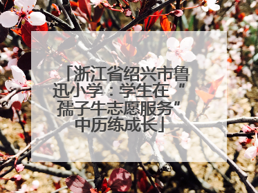 浙江省绍兴市鲁迅小学：学生在“孺子牛志愿服务”中历练成长