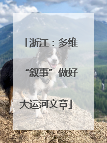 浙江：多维“叙事”做好大运河文章