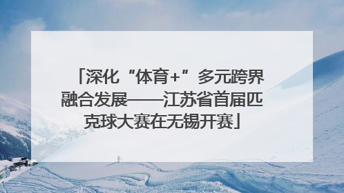 深化“体育+”多元跨界融合发展——江苏省首届匹克球大赛在无锡开赛