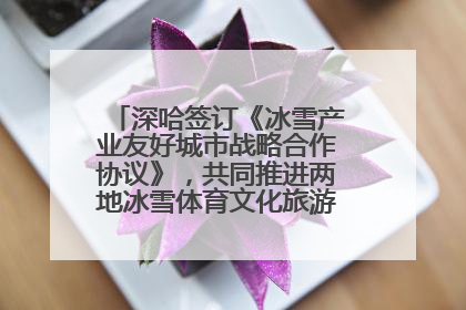 深哈签订《冰雪产业友好城市战略合作协议》，共同推进两地冰雪体育文化旅游高质量发展