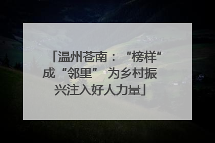 温州苍南：“榜样”成“邻里” 为乡村振兴注入好人力量