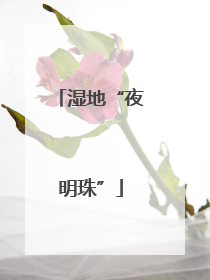 湿地“夜明珠”