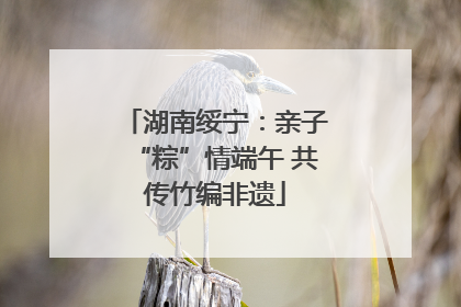 湖南绥宁：亲子“粽”情端午 共传竹编非遗