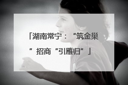 湖南常宁：“筑金巢”招商“引雁归”