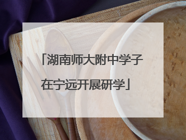 湖南师大附中学子在宁远开展研学