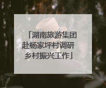 湖南旅游集团赴杨家坪村调研乡村振兴工作