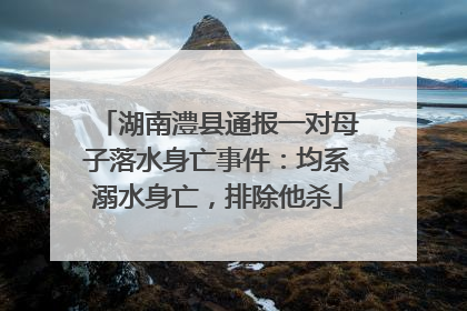 湖南澧县通报一对母子落水身亡事件：均系溺水身亡，排除他杀