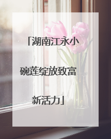 湖南江永小碗莲绽放致富新活力