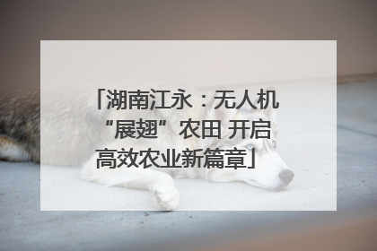 湖南江永：无人机“展翅”农田 开启高效农业新篇章