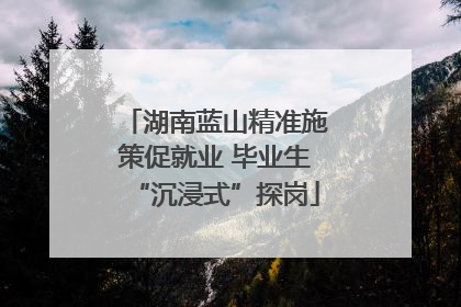 湖南蓝山精准施策促就业 毕业生“沉浸式”探岗