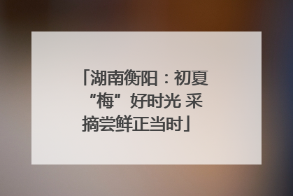 湖南衡阳：初夏“梅”好时光 采摘尝鲜正当时