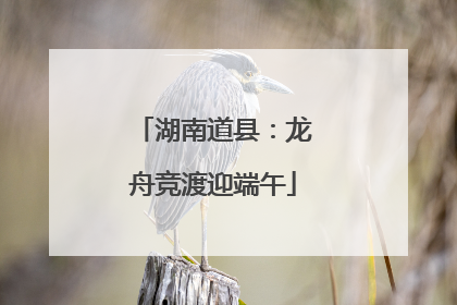 湖南道县：龙舟竞渡迎端午