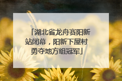 湖北省龙舟赛阳新站闭幕，阳新下屋村勇夺地方组冠军