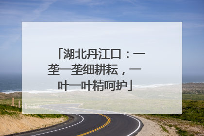 湖北丹江口：一垄一垄细耕耘，一叶一叶精呵护