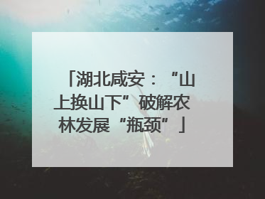 湖北咸安：“山上换山下”破解农林发展“瓶颈”