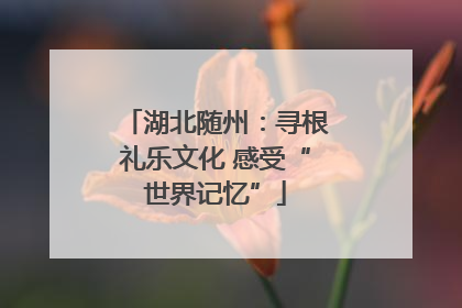 湖北随州：寻根礼乐文化 感受“世界记忆”
