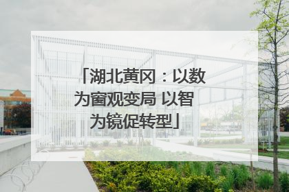 湖北黄冈：以数为窗观变局 以智为镜促转型