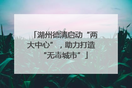 湖州德清启动“两大中心”，助力打造“无毒城市”