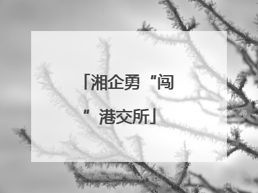 湘企勇“闯”港交所