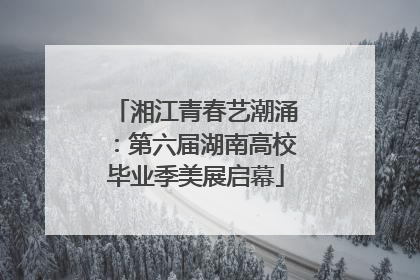 湘江青春艺潮涌：第六届湖南高校毕业季美展启幕