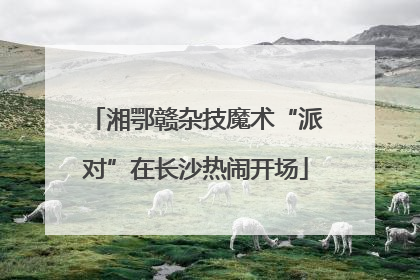湘鄂赣杂技魔术“派对”在长沙热闹开场