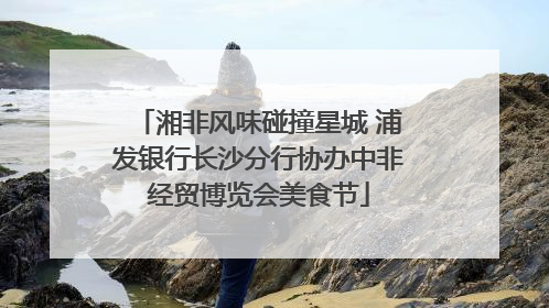 湘非风味碰撞星城 浦发银行长沙分行协办中非经贸博览会美食节
