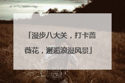 漫步八大关，打卡蔷薇花，邂逅浪漫风景
