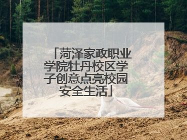 菏泽家政职业学院牡丹校区学子创意点亮校园安全生活