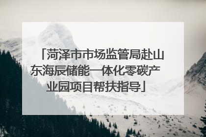 菏泽市市场监管局赴山东海辰储能一体化零碳产业园项目帮扶指导