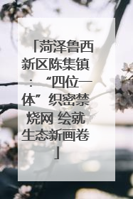 菏泽鲁西新区陈集镇：“四位一体”织密禁烧网 绘就生态新画卷
